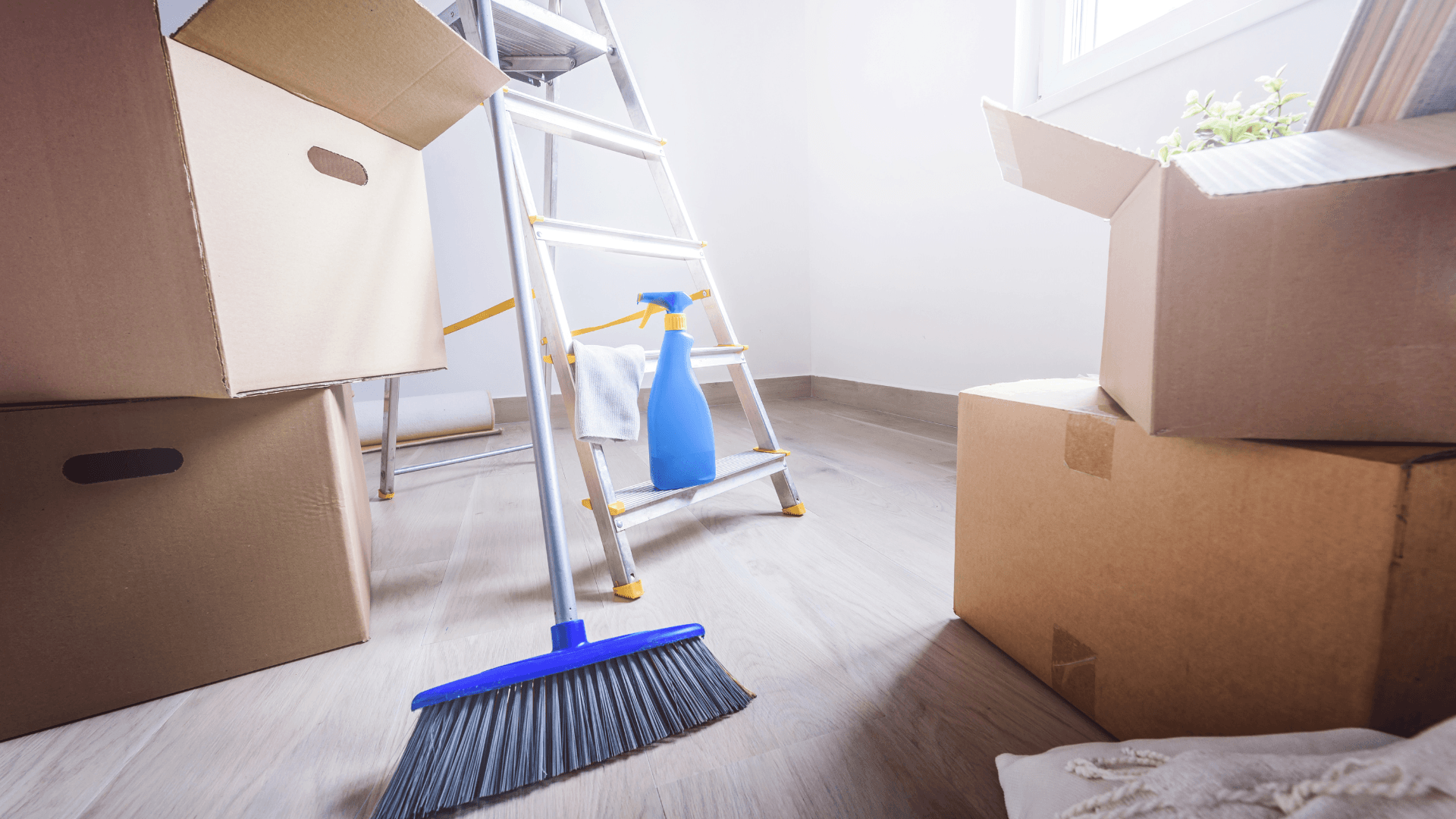 Move In/Out Cleaning